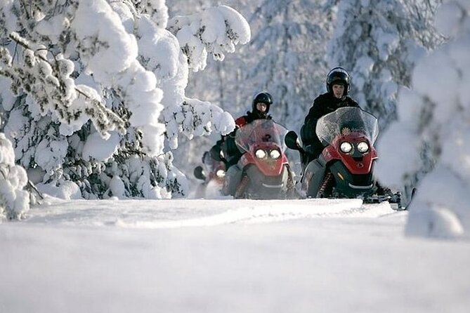 Snowmobile Safari through Lappish Forest from Rovaniemi - Key Takeaways Before You Go