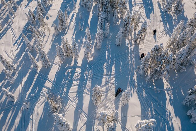 Snowmobile Safari through Lappish Forest from Rovaniemi - Gear Up Like a Local: Winter Suits and Safety Briefings That Matter