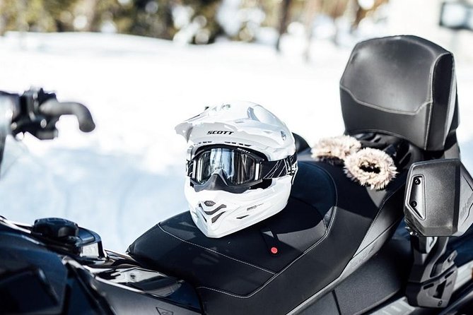 Snowmobile Safari through Lappish Forest from Rovaniemi - Pickup, Meet-Up Point, and Timing in Rovaniemi City Life