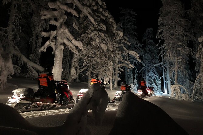 Snowmobile Safari to Search for the Northern Lights - Price and value: what $203.04 buys you in winter reality