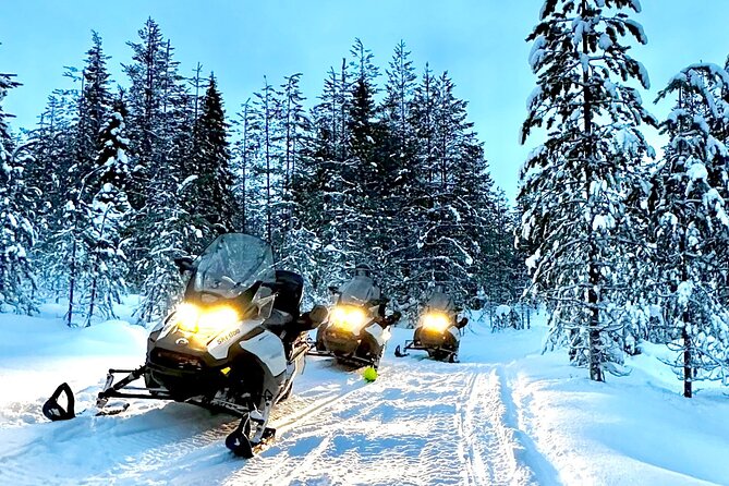 Snowmobile Safari to the Wilderness - The Snowmobile Ride: What You’re Actually Doing Out There