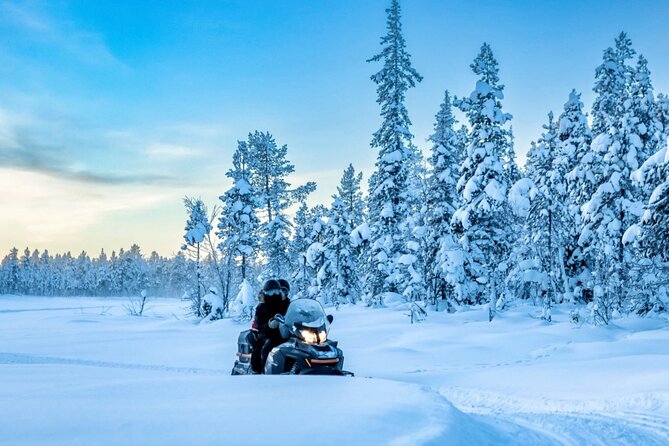 Snowmobile Tour with Small Group in Remote Wilderness 3 Hours - Key highlights I’d circle before booking