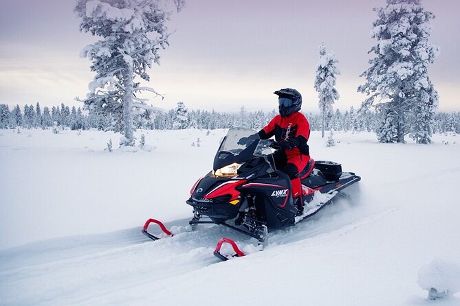 Snowmobile Tour with Small Group in Remote Wilderness 3 Hours - Safety Briefing, Small-Group Pace, and Guide Styles That Work