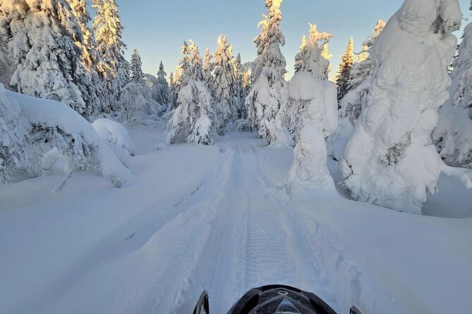 Snowmobile Tour with Small Group in Remote Wilderness 3 Hours - The Route: Forest Tracks, Frozen Lakes, and Photo Breaks That Matter