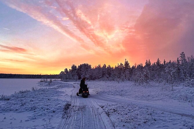 Snowmobile Tour with Small Group in Remote Wilderness 3 Hours - Price and Value: Is $222.27 Worth It?