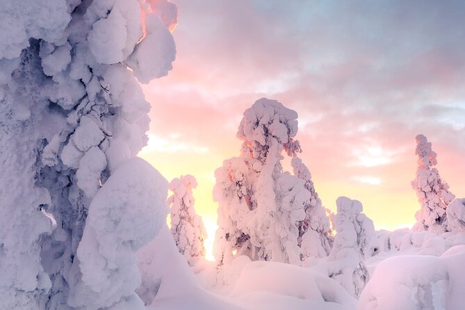 Snowmobile Tours in Rovaniemi Lapland - Key things I’d plan around