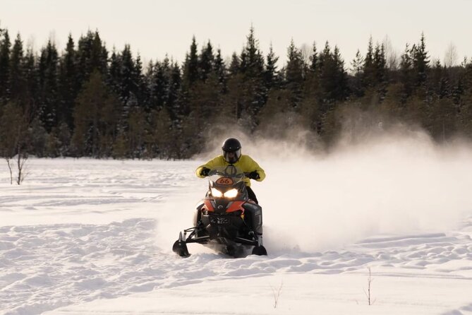 Snowmobile Tours in Rovaniemi Lapland - The Lapland Ride: Forest Tracks, Frozen-Lake Moments, and Photo Stops