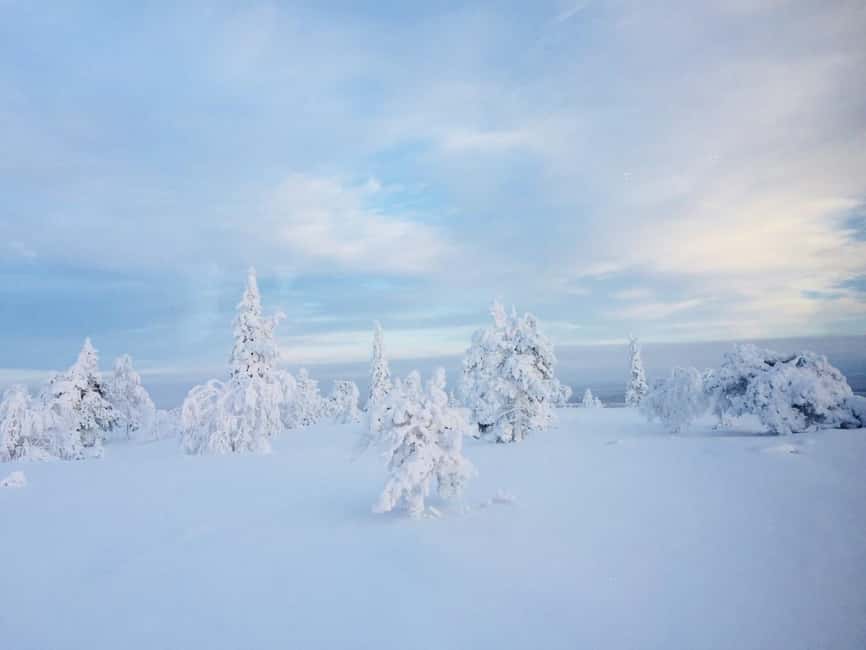 Snowshoe experience with traditional beverages in Lapland - Snowshoe Walking in Lapland, with Real Instruction (Not Just a Strap-On)