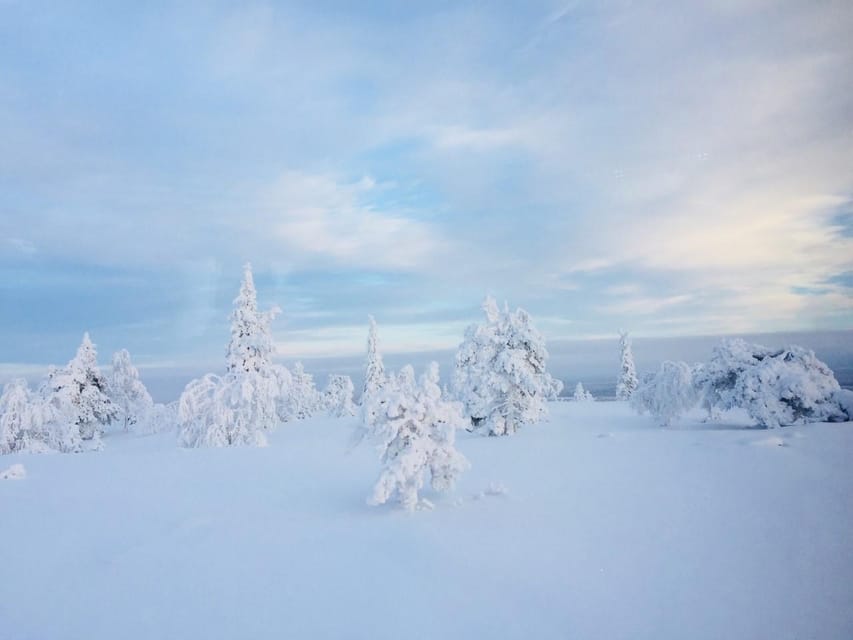 Snowshoe experience with traditional beverages in Lapland - Guides Who Bring It to Life, Including Alex