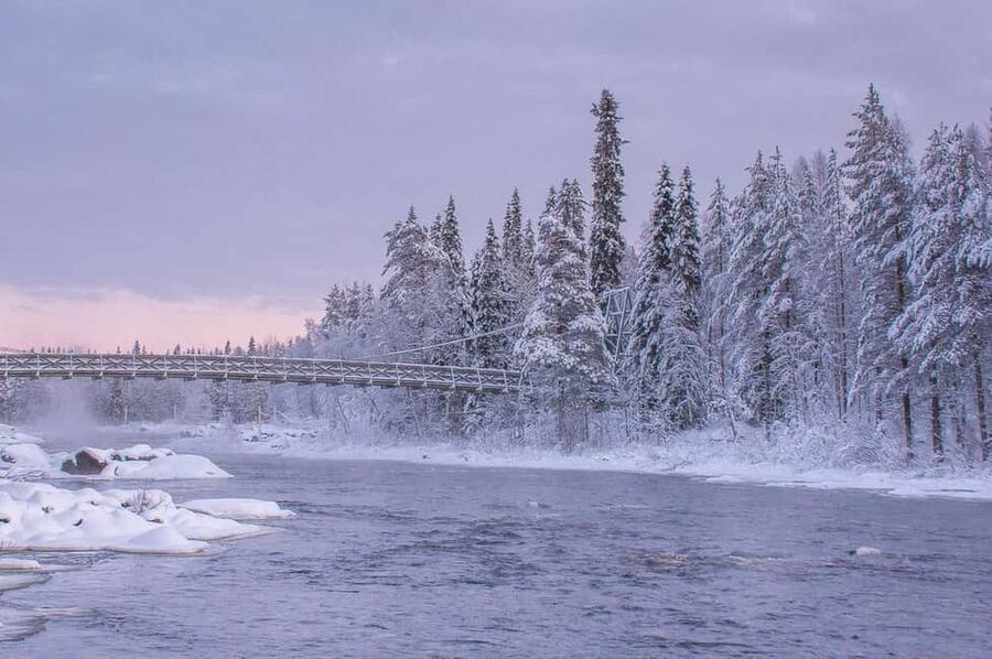 Snowshoe experience with traditional beverages in Lapland - What to Bring: Warm Clothing and Warm Shoes