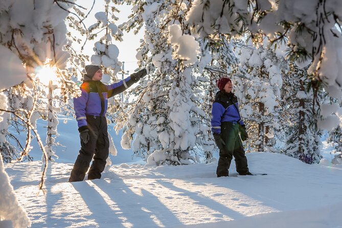 Snowshoe Fun - How the Season Changes the Snow, and Why It Still Works