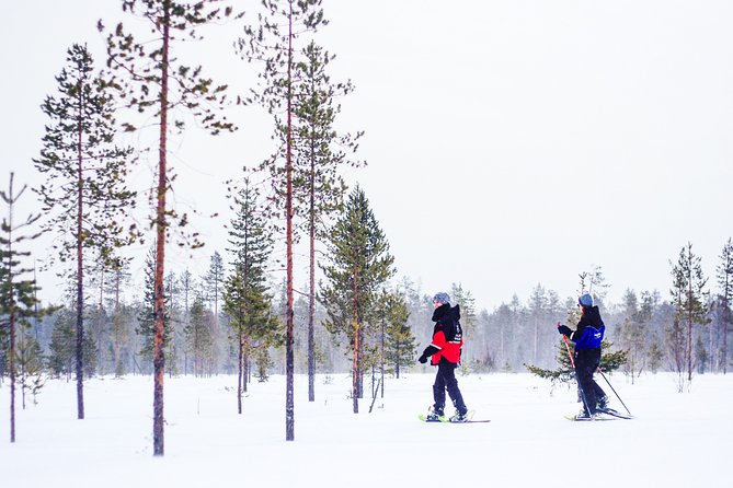 Snowshoe Trip in the Forest - Gear and Guidance: What You Actually Need to Show Up With