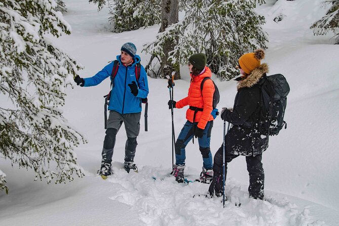 Snowshoeing Adventure with Ice-Fishing, Fire and Survival - What You Really Get in Four Hours (and Where Time Goes)