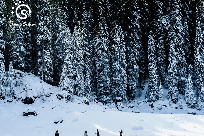 Snowshoeing in Lapland Wilderness - The Campfire Stop: Sausages, Hot Juice, and a Real Winter Break