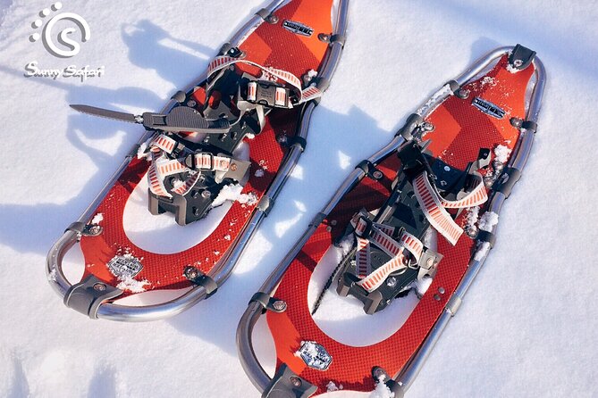 Snowshoeing in Lapland Wilderness - Family-Friendly by Design: Toboggans for Kids and Patient Guiding