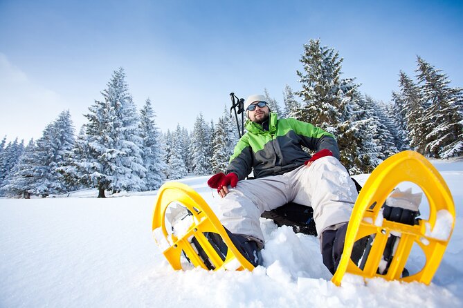 Snowshoeing in Levi - Key highlights you’ll care about