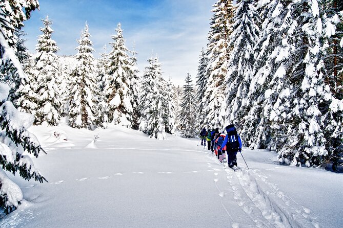 Snowshoeing in Levi - Price and what you’re really paying for