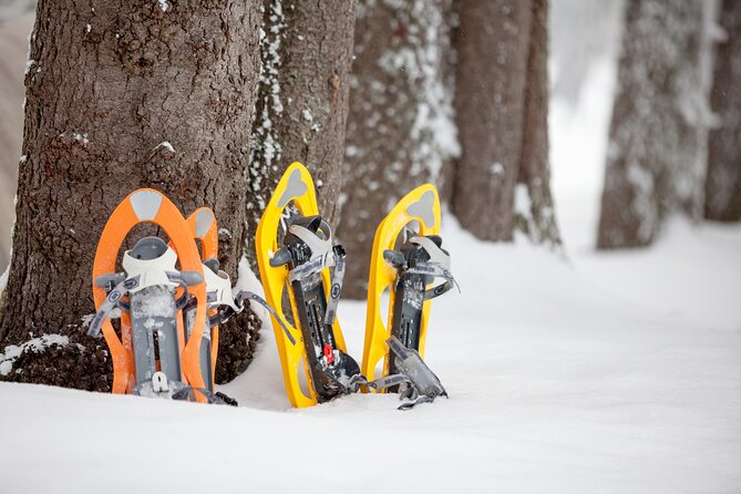 Snowshoeing in Levi - What the 2.5 hours feels like in practice