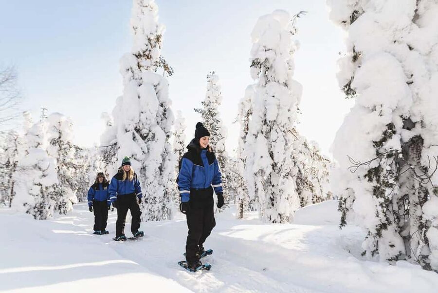 Snowshoeing in the Arctic Wilderness - Quiet Lapland Snowshoeing: What Makes This 4-Hour Safari Special