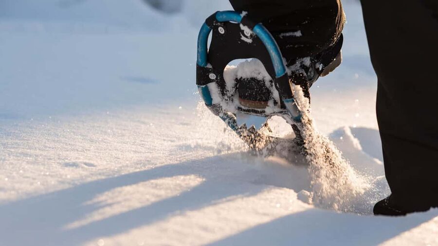 Snowshoeing in the Arctic Wilderness - The Walk Itself: Frozen Rapids, Swamps, and a Pace You Can Adjust