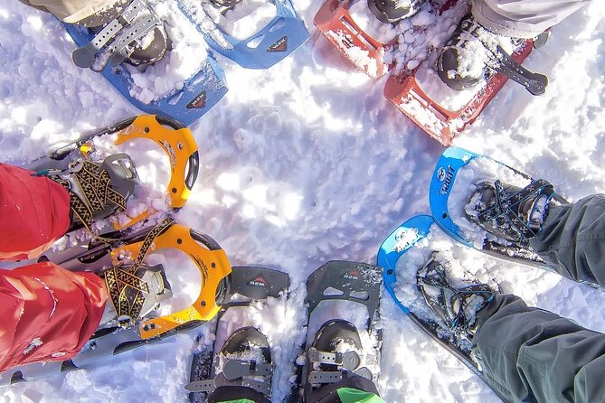 Snowshoeing tour with Wild Lunch - Quick hits to know before you go