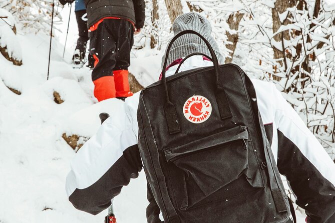 Snowshoeing tour with Wild Lunch - The teepee wild lunch by the fire: the best part to plan for