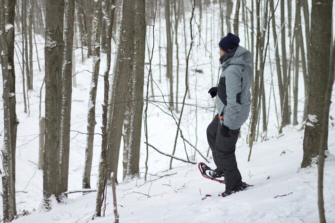 Snowshoeing tour with Wild Lunch - Drop-off back in town, and how to fit it into your Rovaniemi day