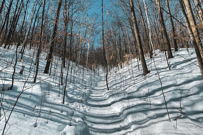 Snowshoeing tour with Wild Lunch - Who this snowshoe and wild lunch tour is best for