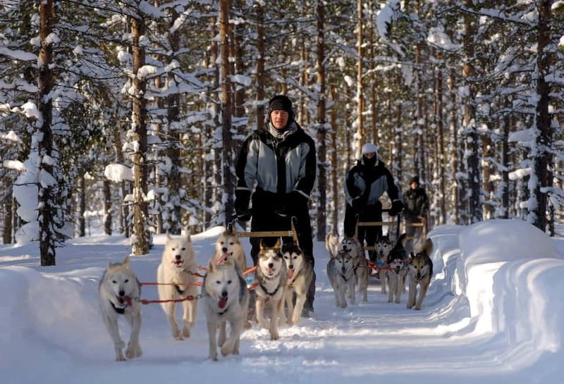Snowy Trails Husky Safari (5 Km) - The 5 Km Husky Sled Ride by Forest or Lake