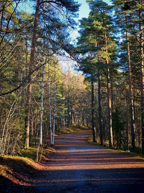 Tampere Panoramic Tour - Guide Quality and Pace: Why the Private Format Works