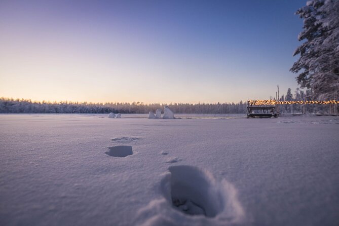 The Ultimate Lappish Adventure, Full Day Tour, Meals Included - Who Should Book This (and who should think twice)