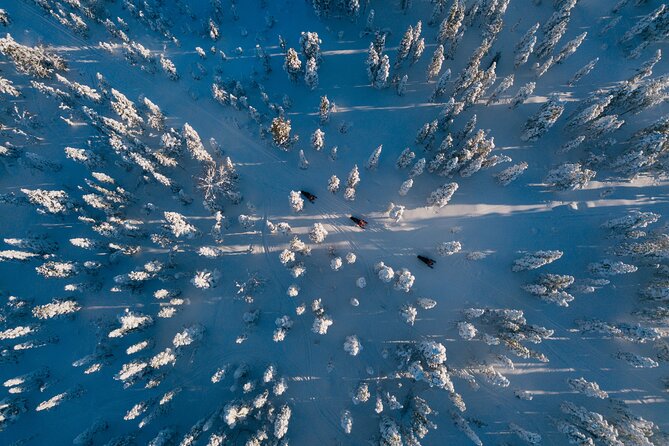 Thrill of Snowmobiling for Adults Only - Price and Value, What You Are Really Paying For at $215.05