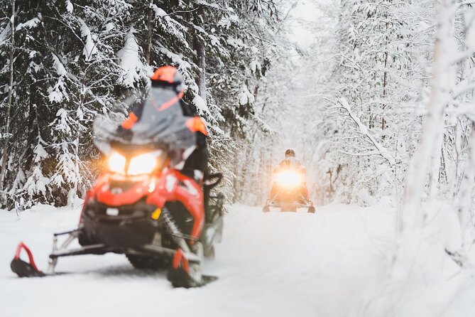 Thrill of Snowmobiling for Adults Only - Driving for Around 2.5 Hours, Shared Seat vs Single-Driver Thrill