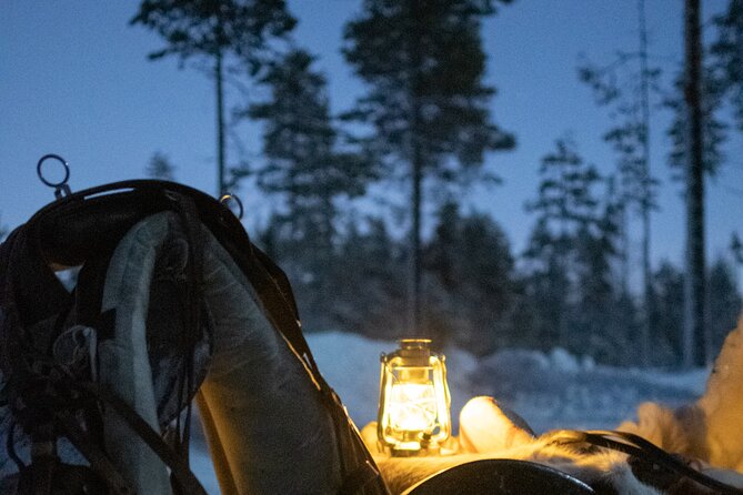 Traditional Finnhorse Sleigh Ride at SCV (3km) - 1 Hour, 3 km, and How the Ride Feels Up Close