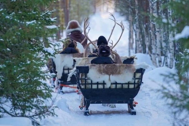 Traditional Reindeer Farm Visit with a Short Sleigh Ride - Key Highlights to Focus On