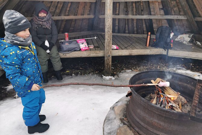 Traditional Sight-Skiing Experience in Kemi - The Ski Route: Tracks Near the Sea, Plus Story Stops