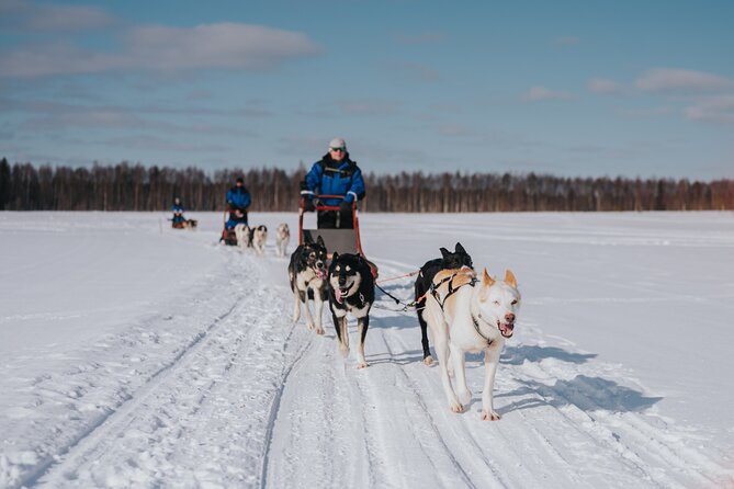 Trail of Tails Step into the Mushing Life in 5KM Husky Safari - Trail of Tails Key Highlights for Husky First-Timers