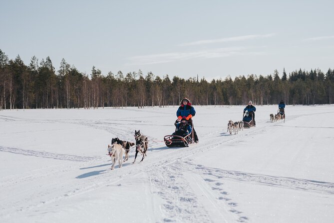 Trail of Tails Step into the Mushing Life in 5KM Husky Safari - Who Should Book Trail of Tails, and Who Might Skip It