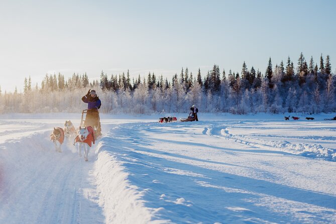 Trail of Tails Step into the Mushing Life in 5KM Husky Safari - Taking the Reins on Your 5 km Dog Sled Run