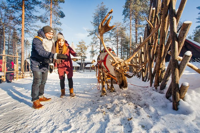 Trip to Arctic Circle, Santa Claus Village and Santas Reindeer - Best fit for who: families, first-timers, and time-crunched visitors