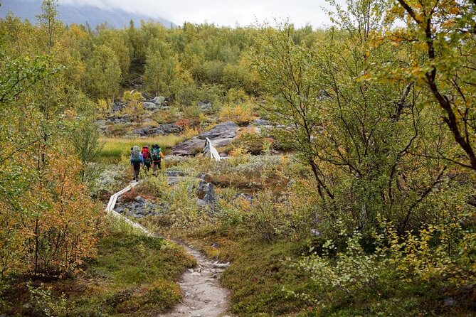 Trip to Pyhä-Luosto National Park and Amethyst Mine - Key Things You’ll Love About Pyhä-Luosto and the Amethyst Mine