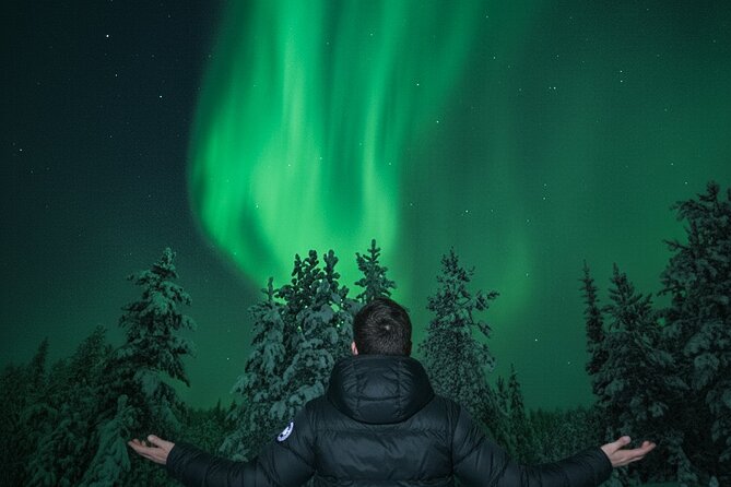 Ultimate Aurora Borealis Tour Rovaniemi - Pickup, private transportation, and how the small group changes things