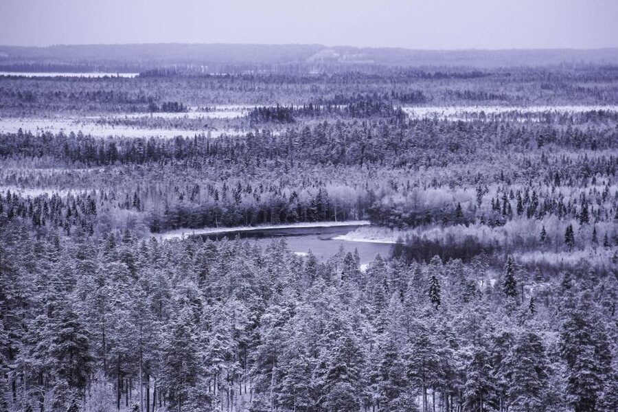 Vikakongas Hike: Nature and Silence - Key highlights at a glance