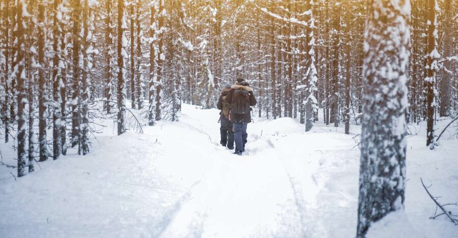 Vikakongas Hike: Nature and Silence - Why the Vikakongas trail feels special in Arctic silence