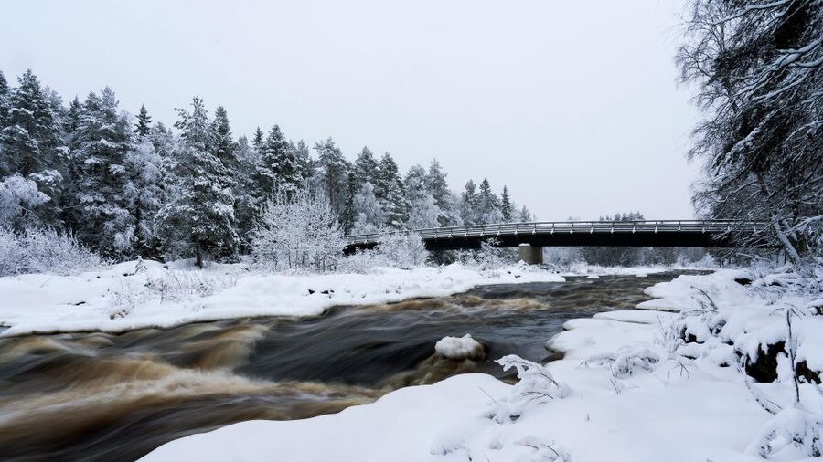 Vikakongas Hike: Nature and Silence - Crossing Vikaköngäs Rapids on a hanging bridge
