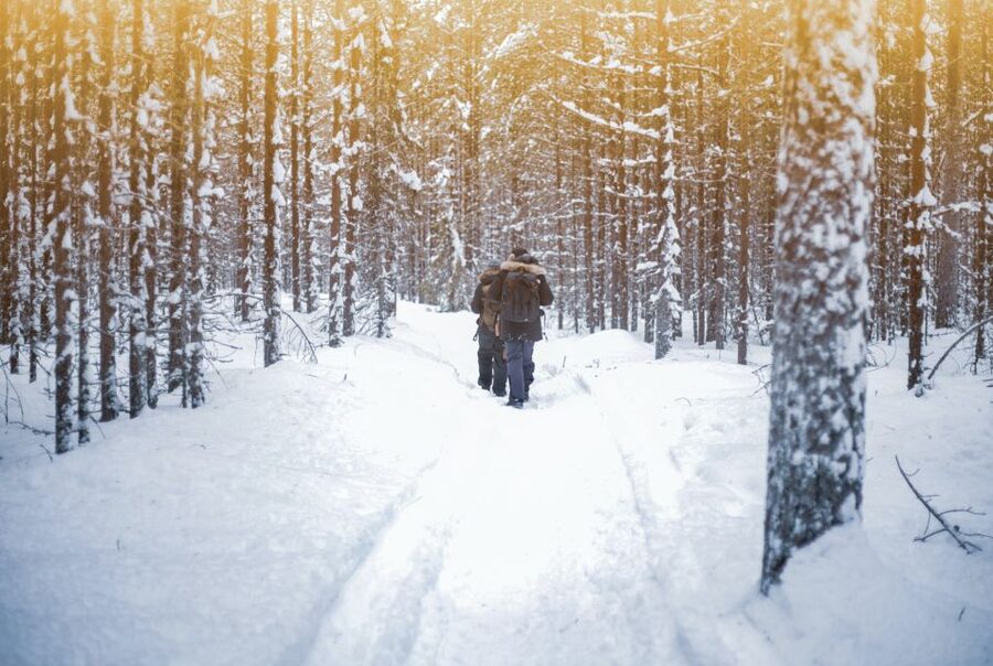 Vikakongas Hike: Nature and Silence - From Rovaniemi by van: how the 2.5-hour plan works