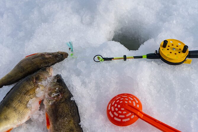 VIP Ice Fishing "ICEBREAKER" Lunch in Glass Igloo - Snow scooters after fishing: fun, safe, and shorter than you may imagine