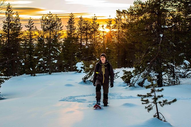 Wilderness snowshoe adventure - Who this tour suits best, and who should think twice