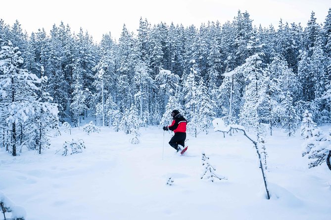 Wilderness snowshoe adventure - Practical tips to get better photos and feel better on the trail