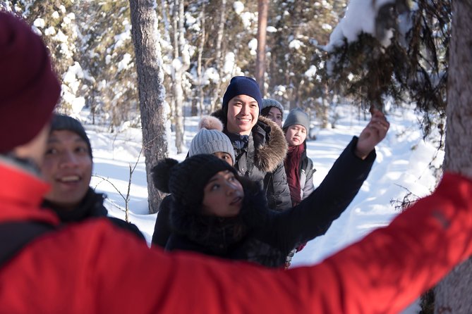 Wilderness Survival Tour - Winter - Arctic Forest Skills, Small Group Focus, and Real Winter Nature Signs